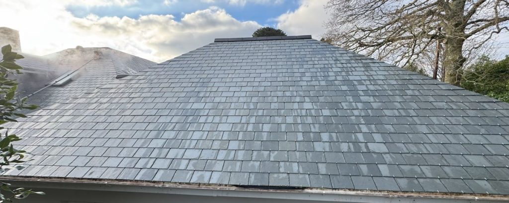 roof steam cleaning